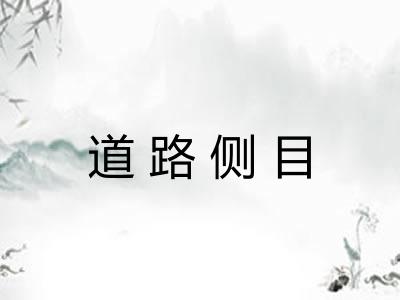 道路侧目