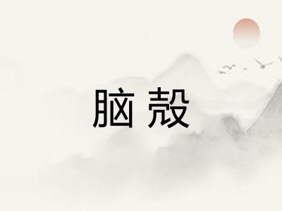 脑殻