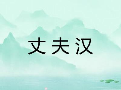 丈夫汉