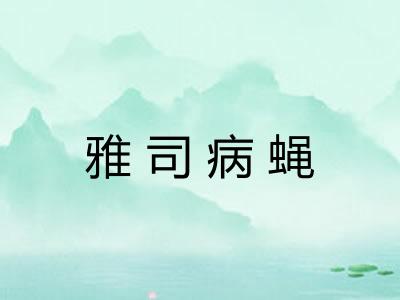 雅司病蝇