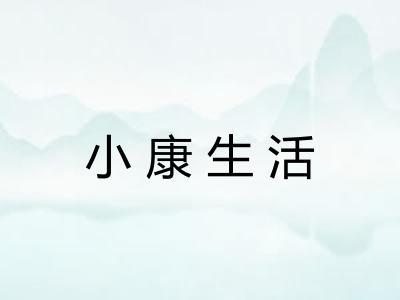 小康生活