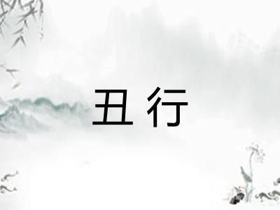 丑行
