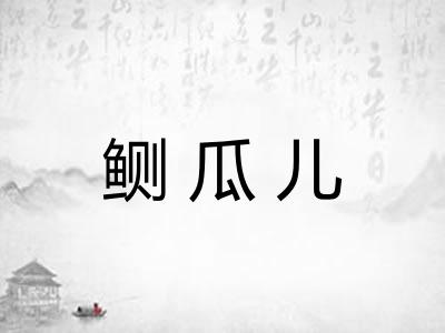 鲗瓜儿