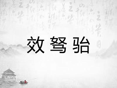 效驽骀