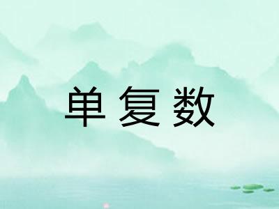 单复数