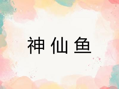 神仙鱼