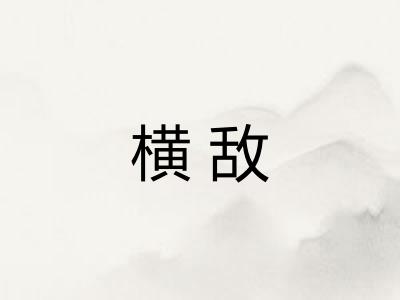 横敌