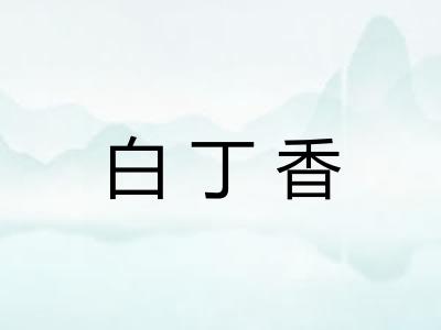 白丁香