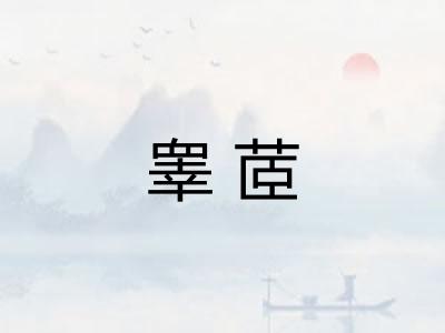 睾茝