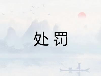 处罚