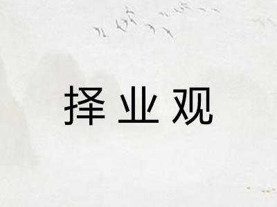 择业观