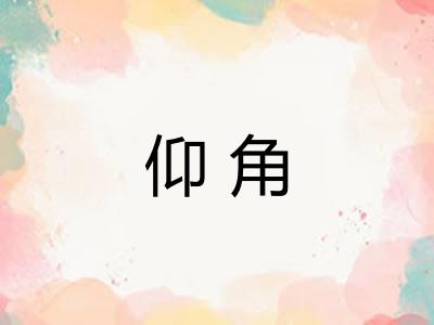 仰角