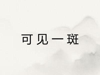 可见一斑