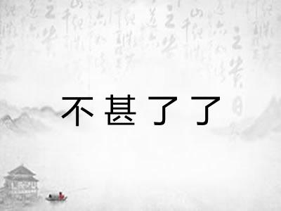不甚了了