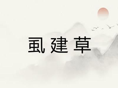 虱建草