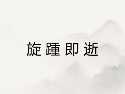 旋踵即逝