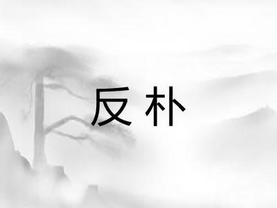 反朴