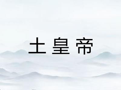 土皇帝
