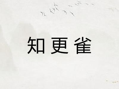 知更雀