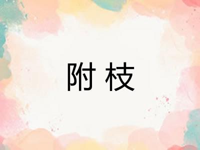 附枝