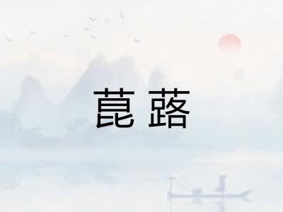 菎蕗