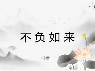 不负如来