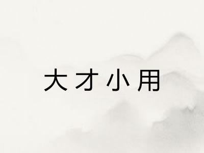 大才小用