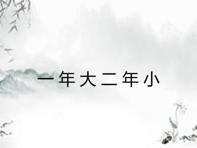 一年大二年小