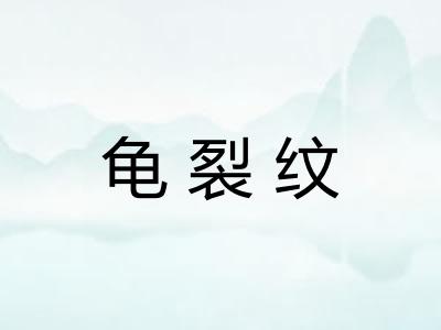 龟裂纹