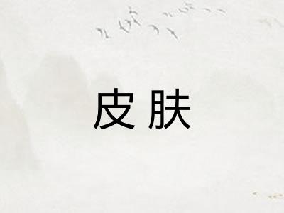 皮肤