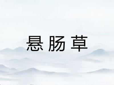 悬肠草