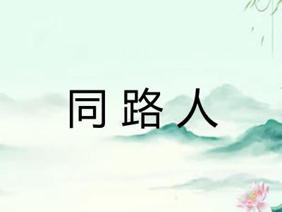 同路人