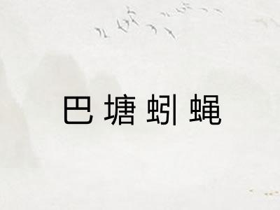巴塘蚓蝇