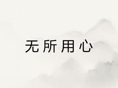 无所用心