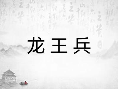 龙王兵
