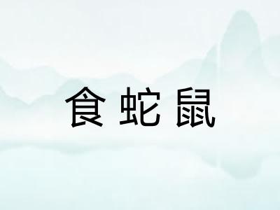 食蛇鼠