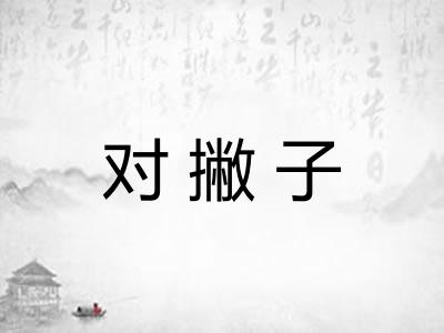 对撇子