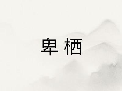 卑栖