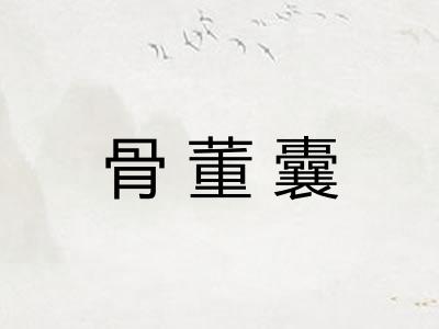 骨董囊