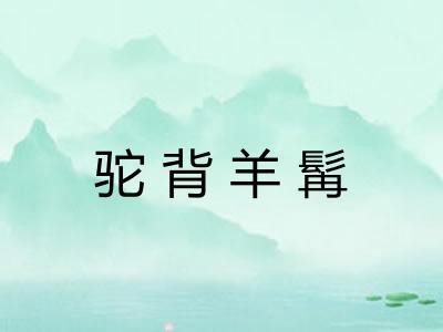 驼背羊髯