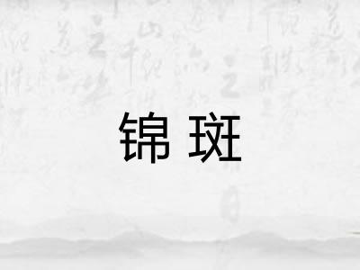 锦斑