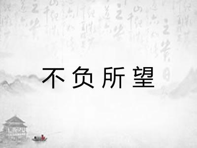 不负所望