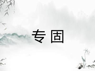 专固