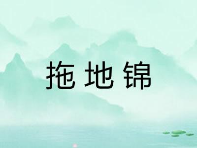 拖地锦