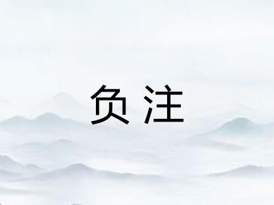 负注