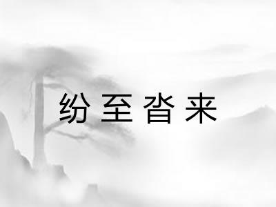 纷至沓来