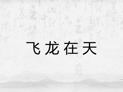 飞龙在天