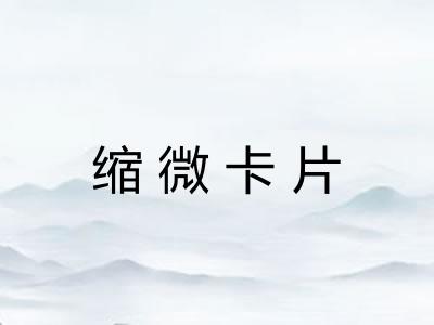 缩微卡片