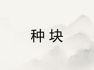 种块