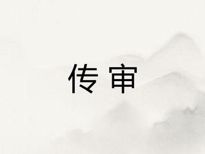 传审